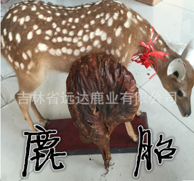 плацента оленя натур-1.png